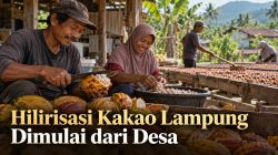 Hilirisasi Kakao Lampung Dimulai dari Desa