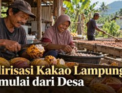 Hilirisasi Kakao Lampung Dimulai dari Desa